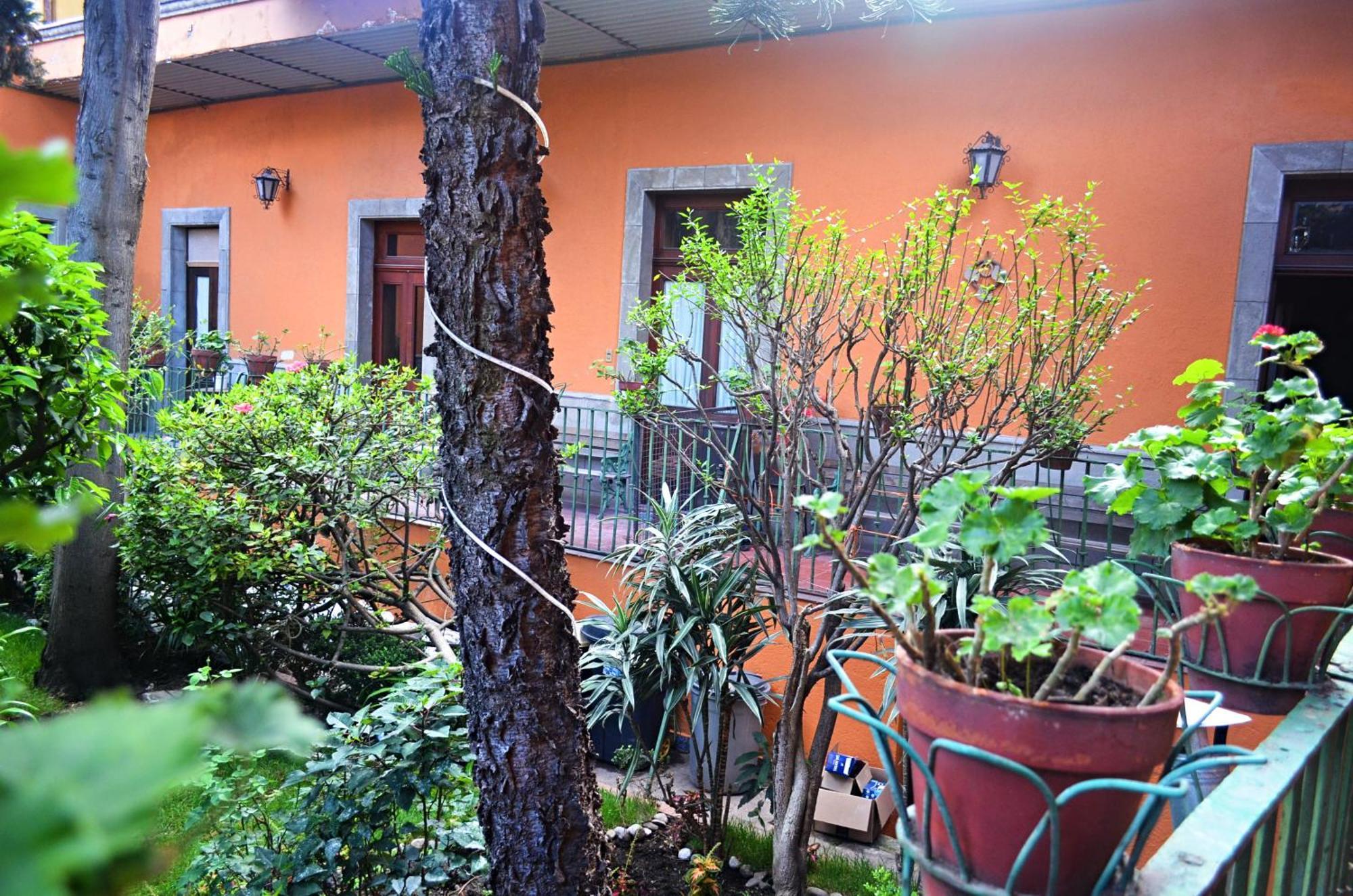 מקסיקו סיטי Hacienda Gobernadores מראה חיצוני תמונה