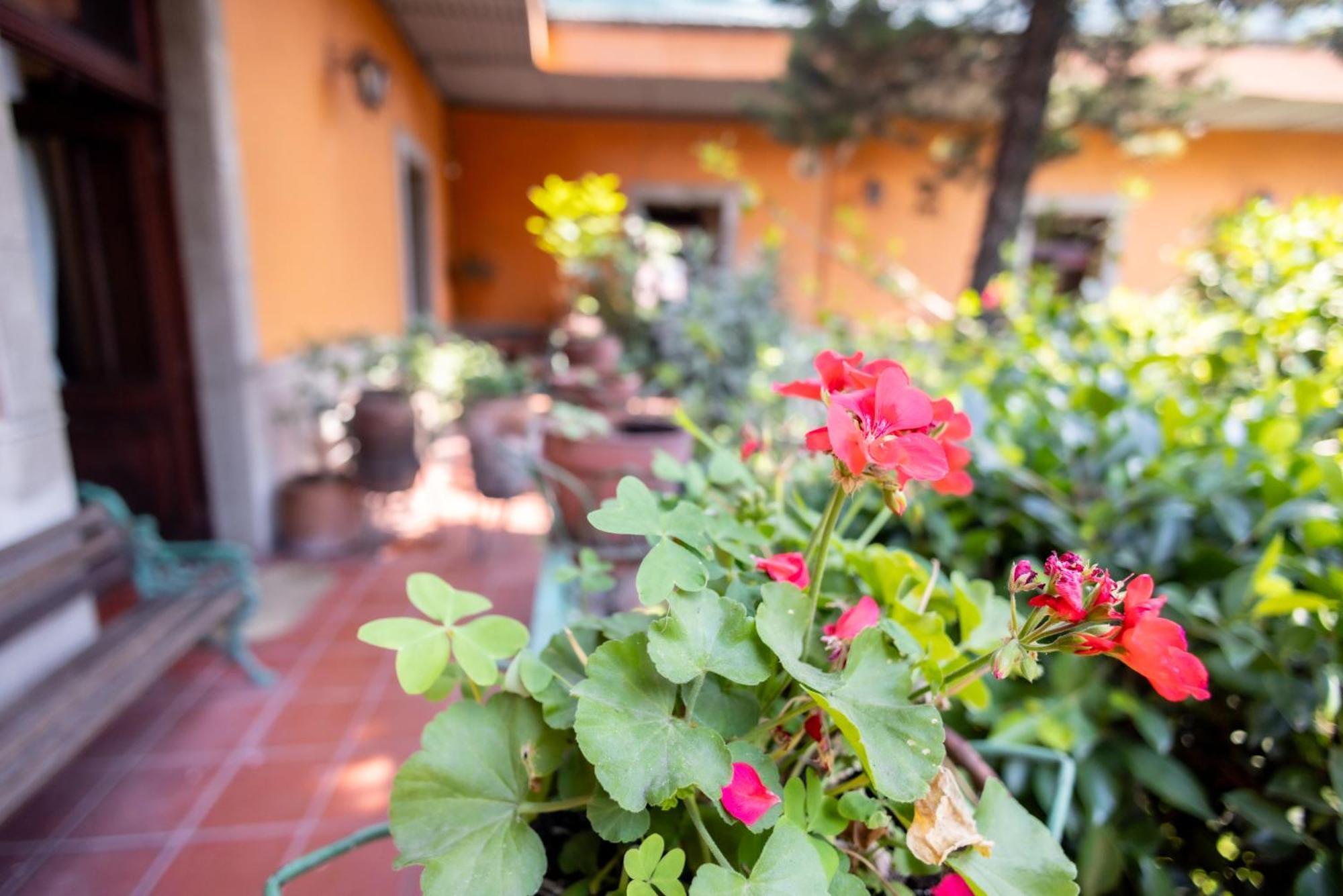 מקסיקו סיטי Hacienda Gobernadores מראה חיצוני תמונה